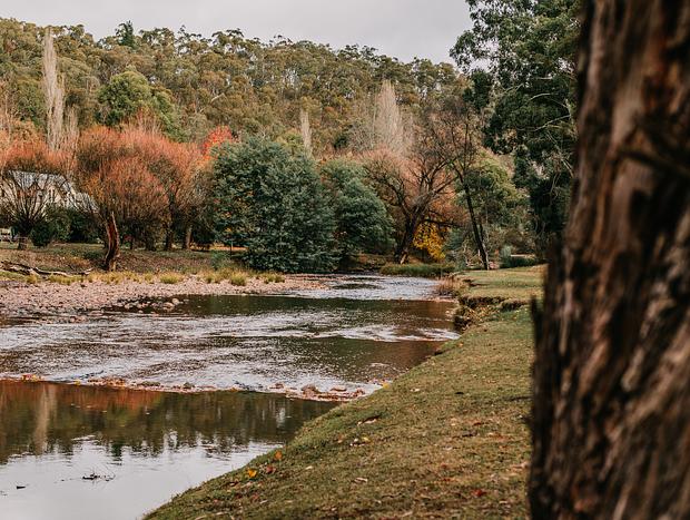 Photo 41 for Tiny Treasure with River Frontage
