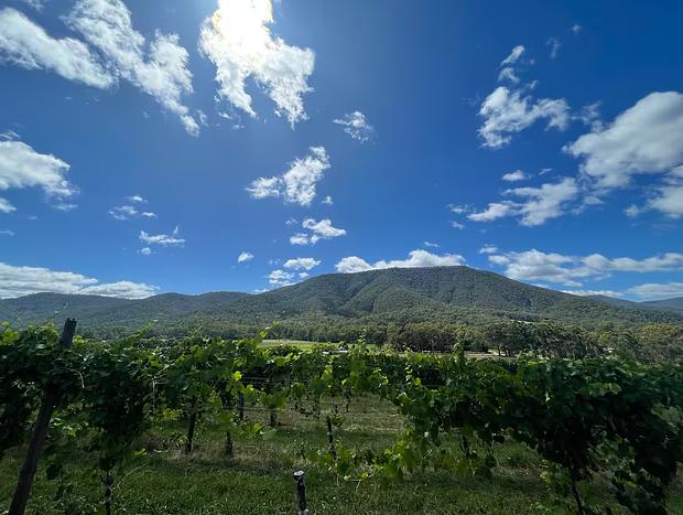 Photo 12 for Lume Studio - Luxury Guest House Fabulous View in the heart of the King Valley