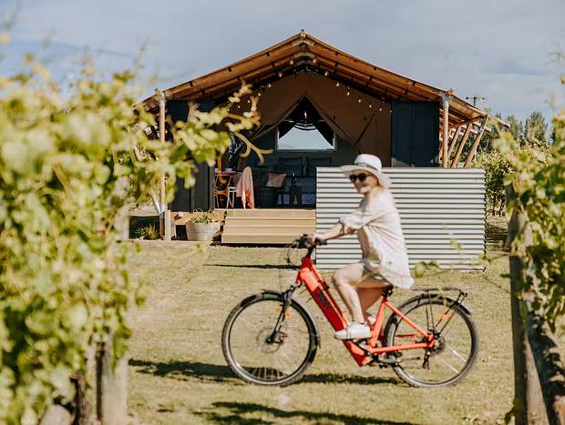 Photo 20 for Glamping in the Vines - Pinot