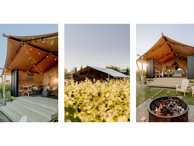 Photo 4 for Glamping in the Vines - Pinot