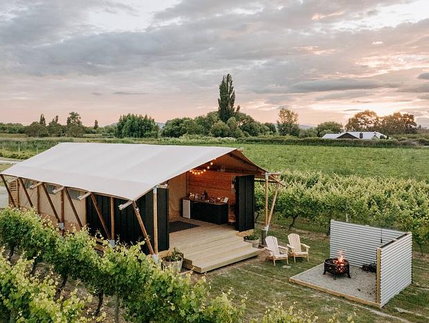 Photo 18 for Glamping in the Vines - Pinot