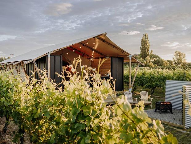 Photo 16 for Glamping in the Vines - Pinot