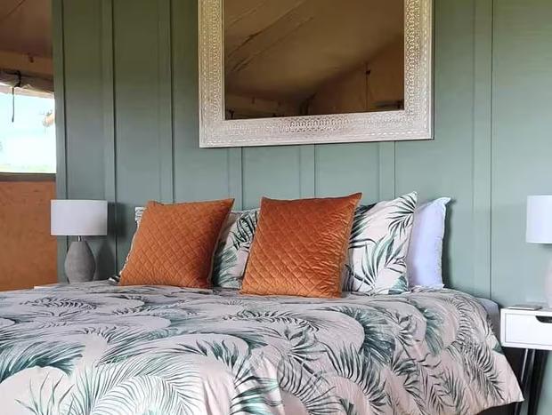 Photo 11 for Vineyard Glamping - Savvy