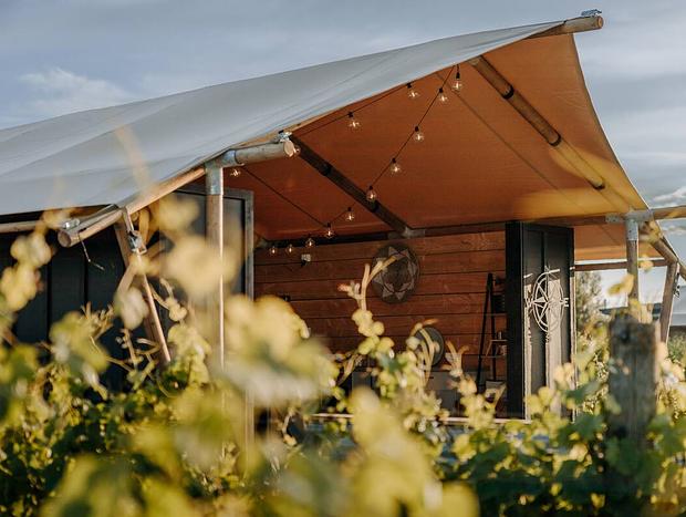 Photo 16 for Vineyard Glamping - Savvy