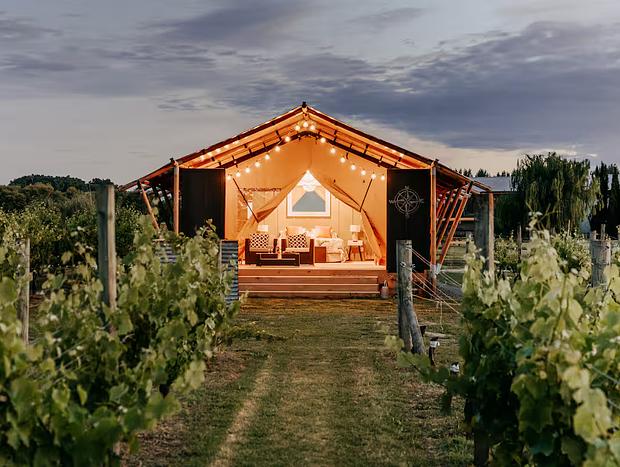Photo 4 for Vineyard Glamping - Savvy