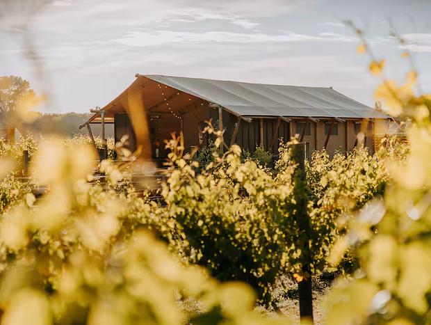 Photo 17 for Vineyard Glamping - Savvy