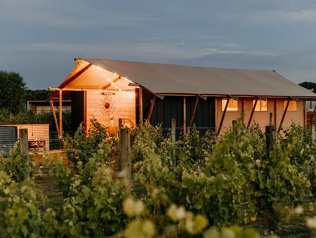 Photo 21 for Vineyard Glamping - Savvy