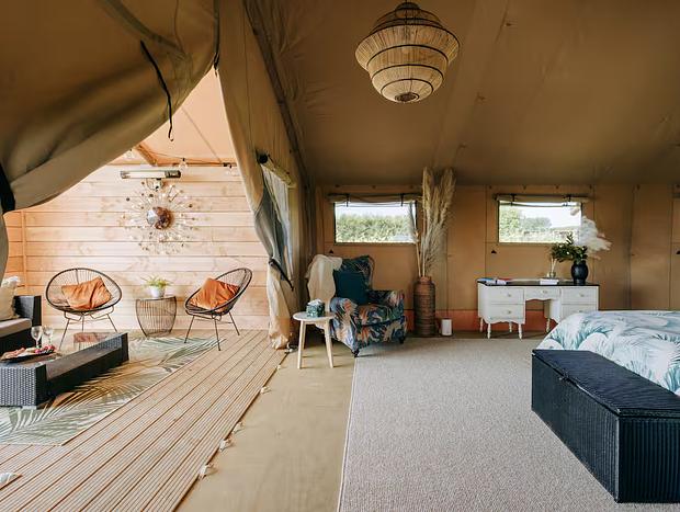 Photo 7 for Vineyard Glamping - Savvy