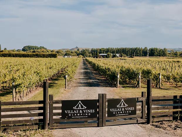 Photo 26 for Vineyard Glamping - Savvy