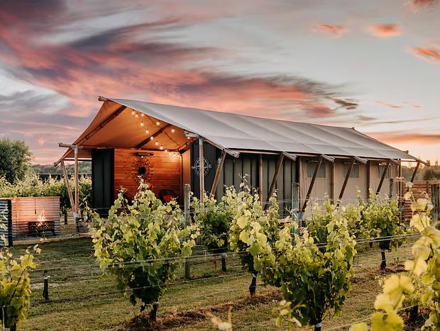 Photo 24 for Vineyard Glamping - Savvy