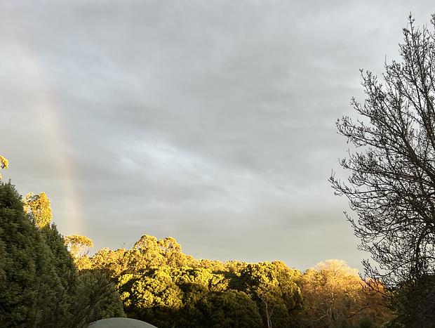 Photo 22 for The Observatory | Leafy Hideaway + Stargazing deck