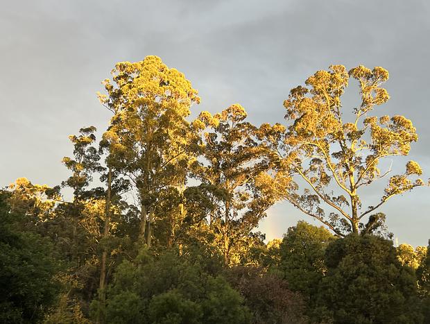 Photo 24 for The Observatory | Leafy Hideaway + Stargazing deck