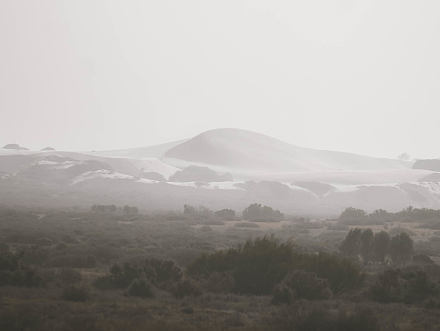 Photo 2 for Mungo Desert