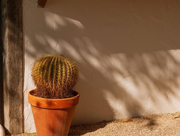Photo 21 for The Casita at La Casa Cubo