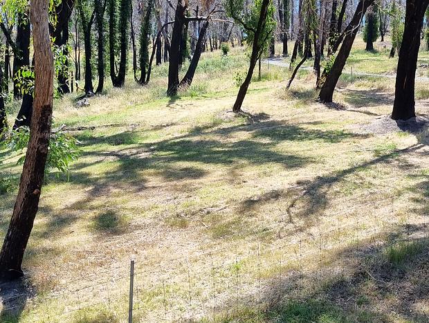 Photo 5 for Kookaburra Cottage