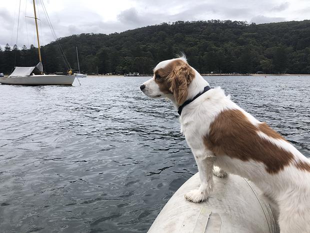 Photo 26 for Romantic Yacht Adventure on Pittwater