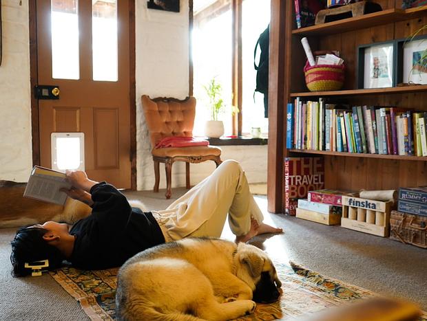 Photo 12 for Unplugged & Recharged at Muckleford Forest Cottage