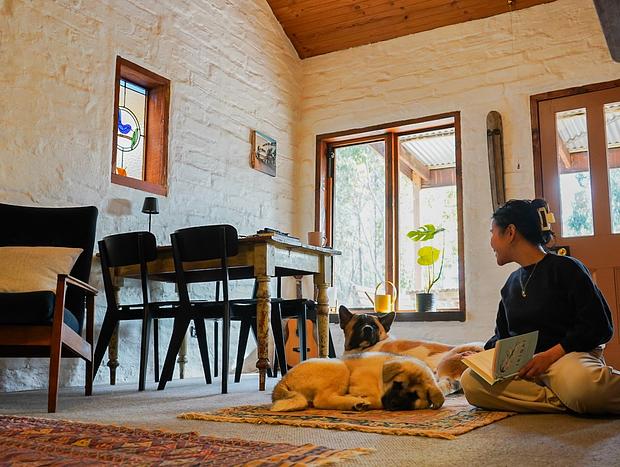 Photo 23 for Unplugged & Recharged at Muckleford Forest Cottage