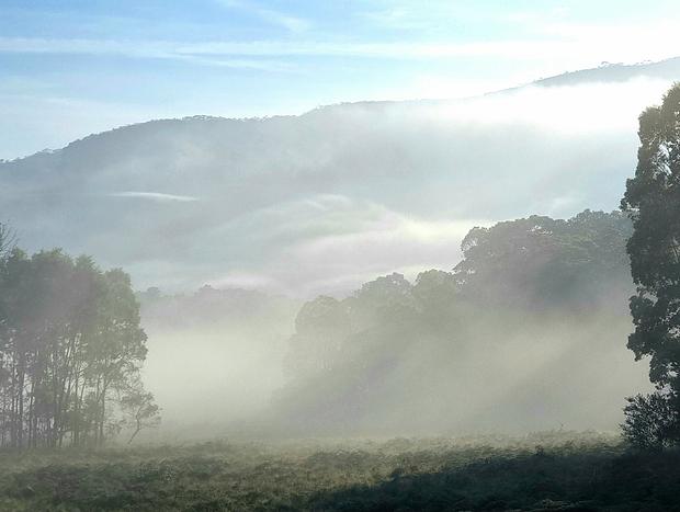 Photo 6 for Potters Studio - 100 Acres of Paradise
