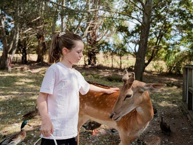 Photo 16 for Experience luxury and immersion with nature at Greenwood Cottages