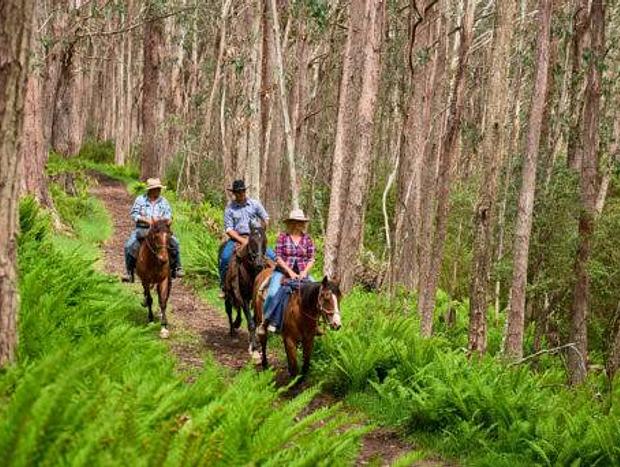 Photo 18 for Experience luxury and immersion with nature at Greenwood Cottages