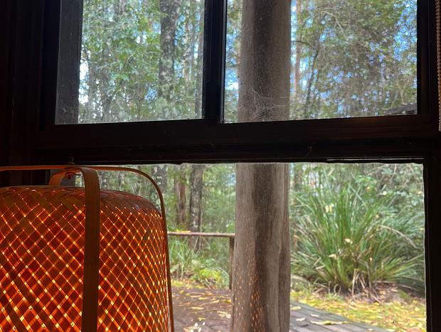 Photo 23 for Melia Cottage in Wangat wildlife sancturay