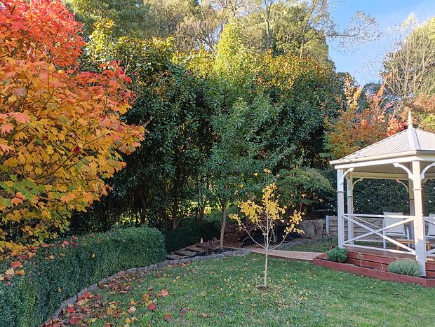 Photo 3 for Magnolia Lodge – Your Private Escape in Nature