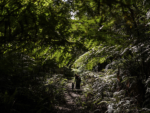Photo 9 for The Zaborian Walk