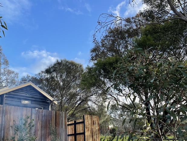 Photo 33 for Sannyside Tiny House