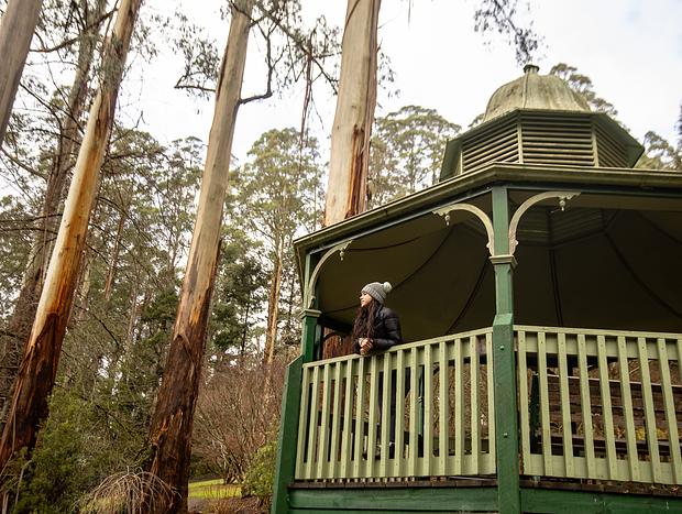 Blue Hills Haven: Pet Friendly, Luxury in Secluded Tranquility