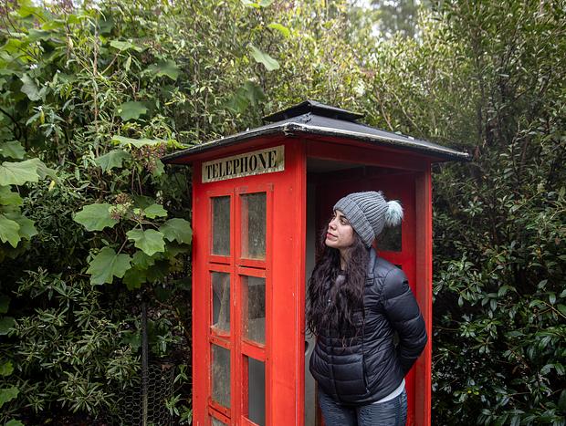 Photo 3 for Dandenong Ranges Botanic Garden