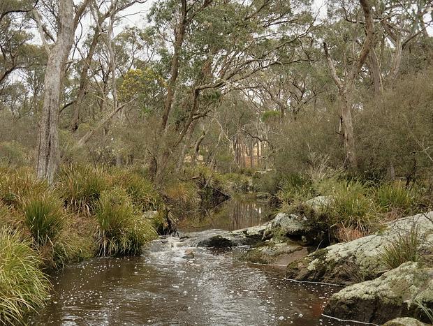 Photo 24 for Platypus Spotting at a Highlands Hideaway