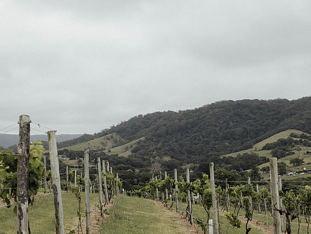 Photo 1 for Crooked River Vinyards