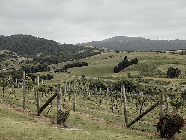 Photo 2 for Crooked River Vinyards