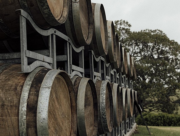 Photo 4 for Crooked River Vinyards