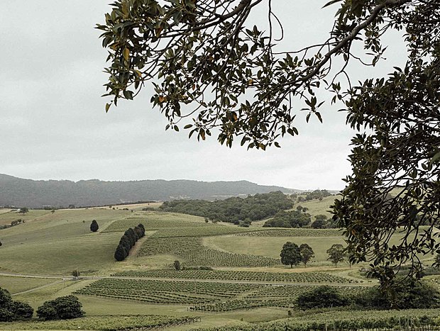 Photo 5 for Crooked River Vinyards