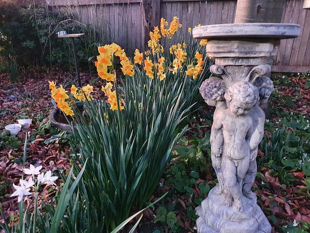 Photo 13 for Charming Garden Studio in Historic Millthorpe - Where country heritage meets modern comfort
