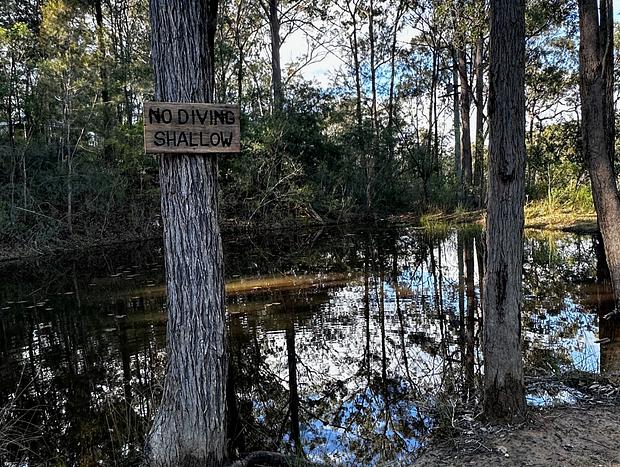 Photo 42 for The Wilds