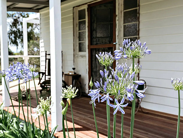 Photo 4 for Jack Cottage