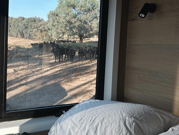 Photo 28 for The High Country Tiny Home