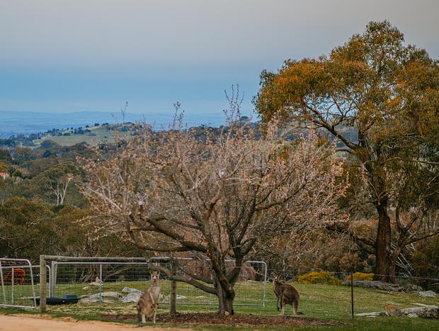 Photo 22 for Charming B&B with paddock friends