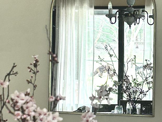 Photo 30 for Tuscan farmhouse