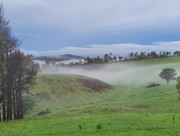 Photo 8 for Luxe&Ivy Romantic Country Getaway Clifton Creek