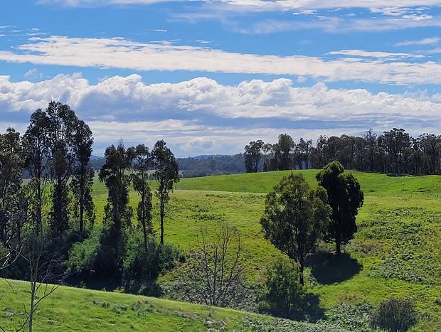Photo 13 for Luxe&Ivy Romantic Country Getaway Clifton Creek