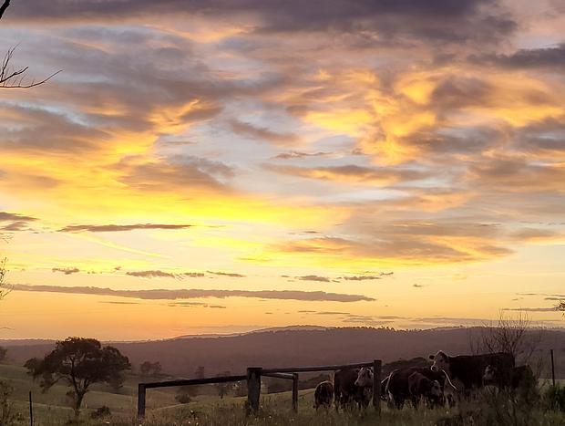 Photo 17 for Luxe&Ivy Romantic Country Getaway Clifton Creek