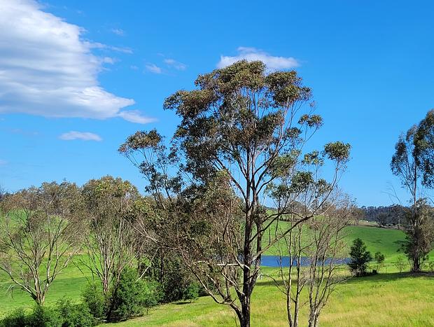 Photo 21 for Luxe&Ivy Romantic Country Getaway Clifton Creek