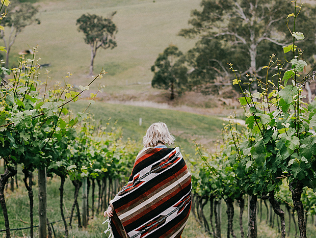 Photo 2 for Wine Tasting At Dryridge Estate