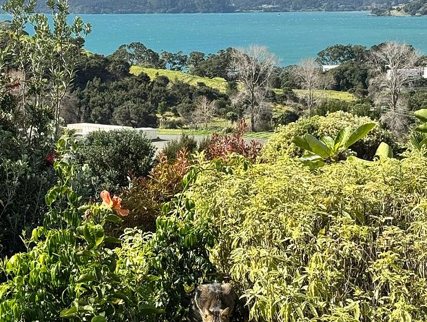 Photo 15 for Casa Playa de los osos | Coopers Beach Sea Views