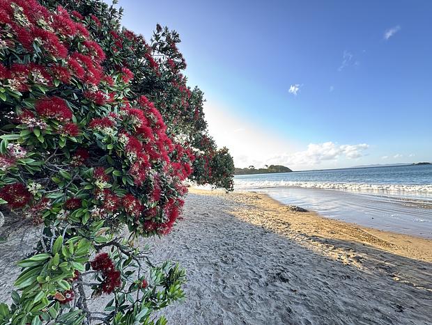 Photo 17 for Casa Playa de los osos | Coopers Beach Sea Views