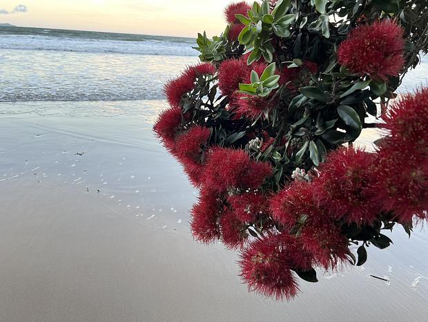 Photo 18 for Casa Playa de los osos | Coopers Beach Sea Views